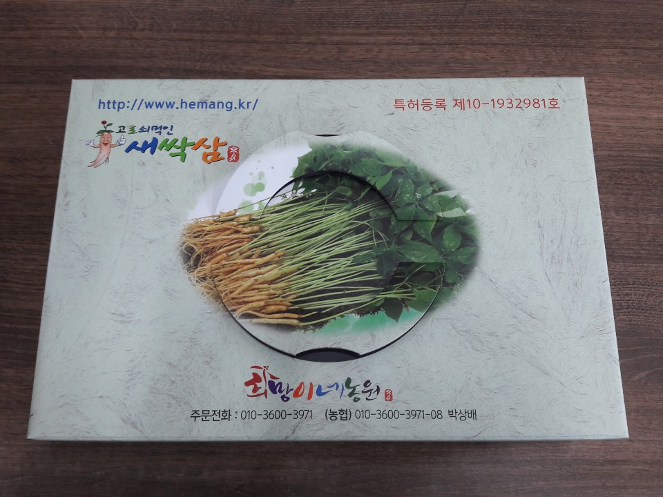 새싹삼 생체(1년근-50뿌리)